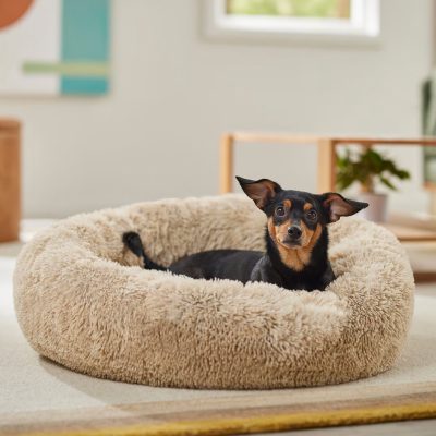 Frisco Eyelash Dog Bolster Bed