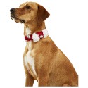 Frisco Jingle Bells Collar