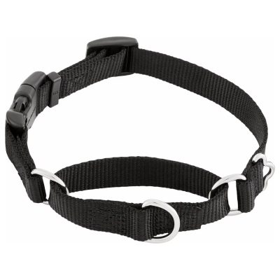 Frisco Martingale Dog Collar