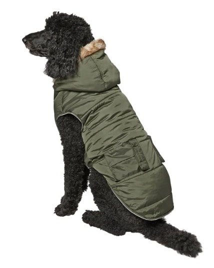 Frisco Mid-Heavyweight Portland Insulated Dog & Cat Parka