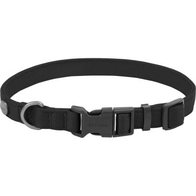 Frisco Monochromatic Dog Collar