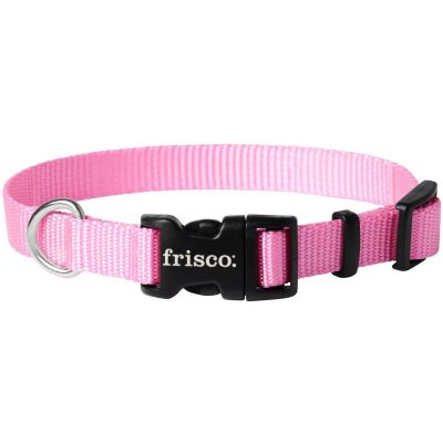 Frisco Solid Nylon Dog Collar