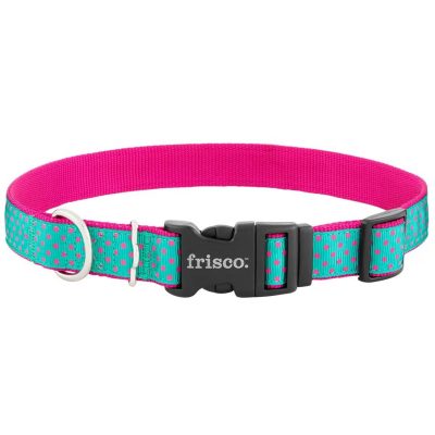 Frisco Patterned Nylon Dog Collar