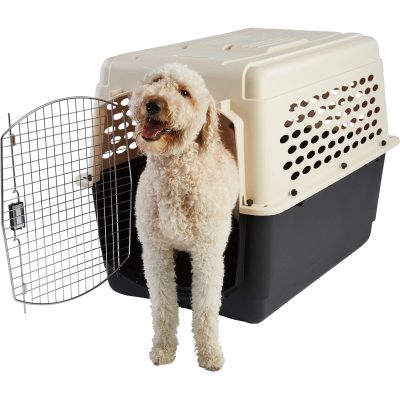 Frisco Plastic Dog and Cat Kennel