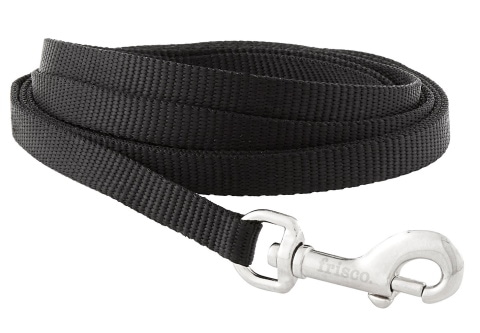 Frisco Solid Nylon Dog Leash