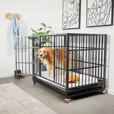 Frisco Ultimate Foldable & Stackable Heavy Duty Steel Metal Single Door Dog Crate