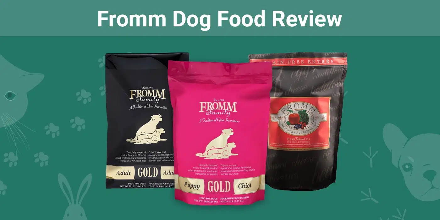 Fromm Dog Food Review 2024 Recalls, Pros & Cons Dogster