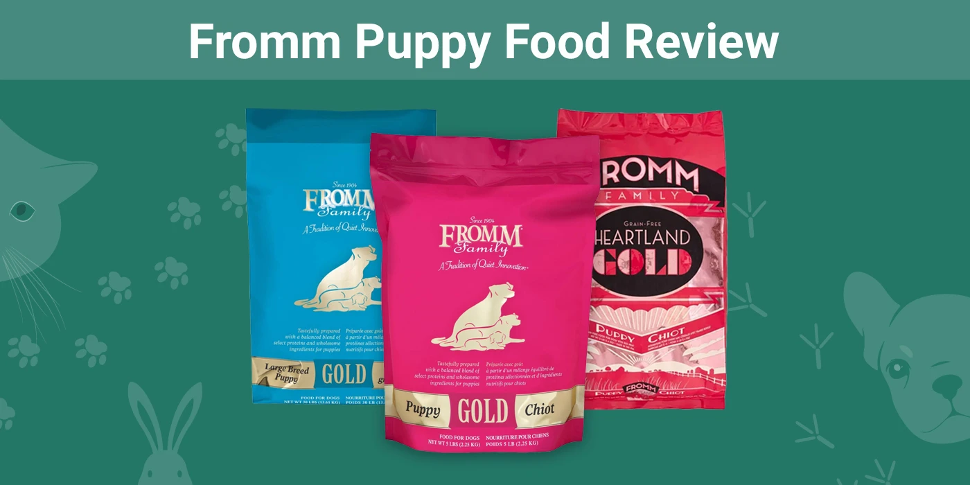 Fromm Puppy Food - Featured Image