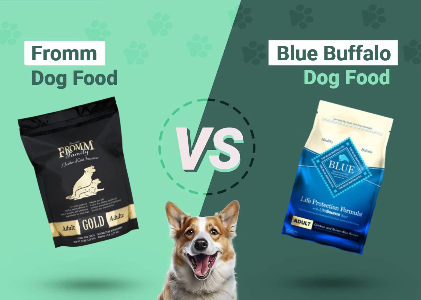 Fromm vs Blue Buffalo Dog Food - Featured Image