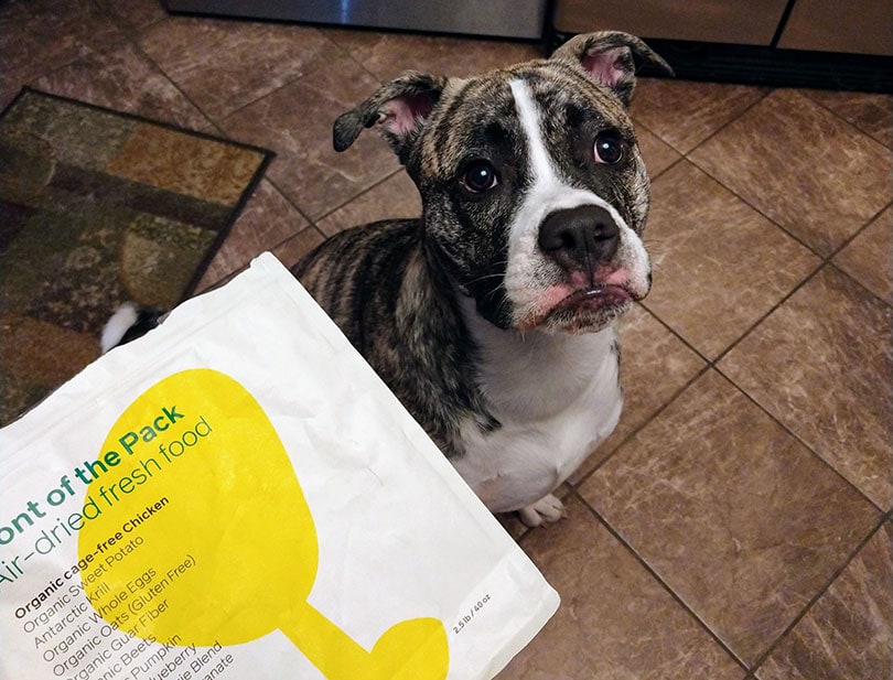 Front of the Pack dog food packaging in front of a dog