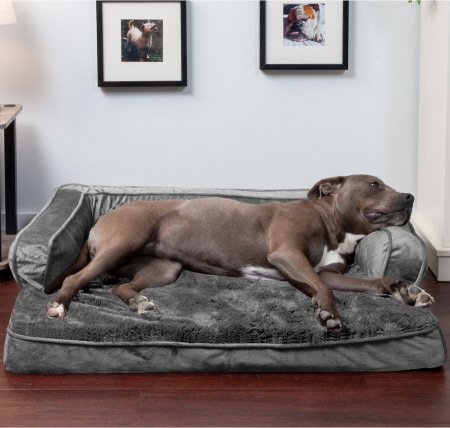 FurHaven Plush & Velvet Orthopedic Comfy Couch Dog & Cat Bed