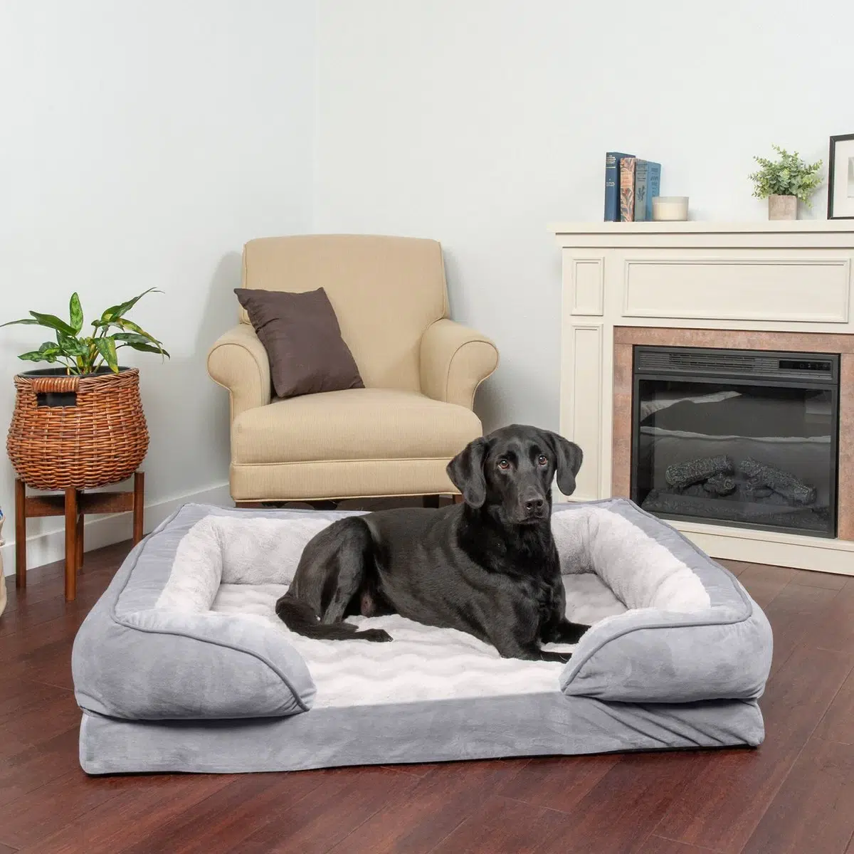 FurHaven Velvet Waves Perfect Comfort Orthopedic Sofa Cat & Dog Bed