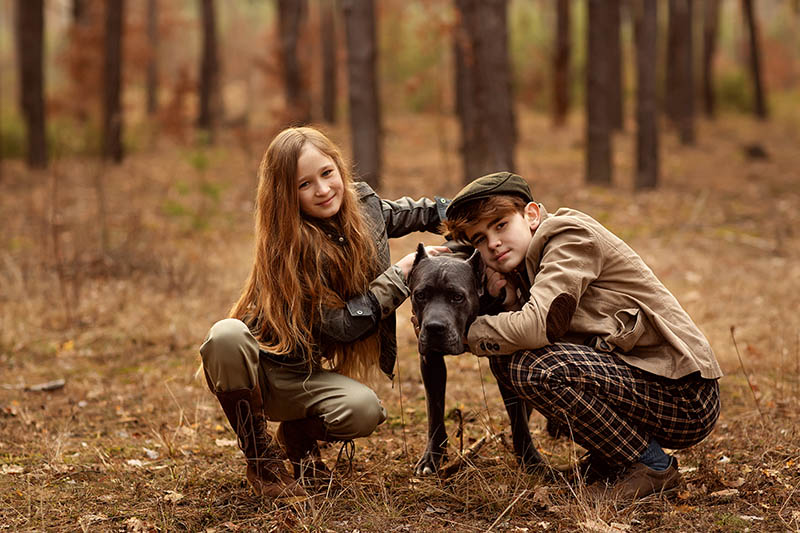 Girl and boy walk with a dog Cane corso in the forest and have a fun. Children hug a dog