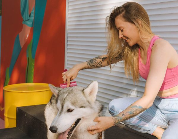 Girl brushing a husky_YaroslavShuraev_Pexels