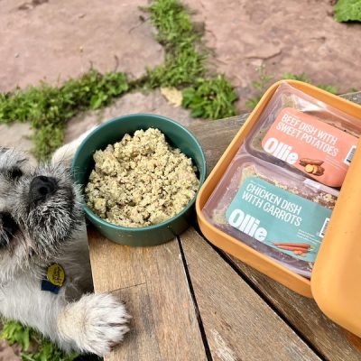 Ollie Fresh Dog Food Subscription