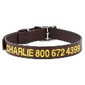 GoTags Leather Personalized Dog Collar 