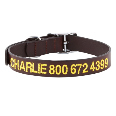 GoTags Leather Personalized Dog Collar