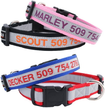 GoTags Reflective Personalized Dog Collar