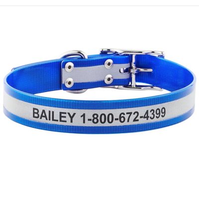 GoTags Waterproof Personalized Reflective Dog Collar