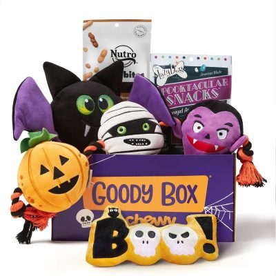 Goody Box Halloween Dog Toys & Treats
