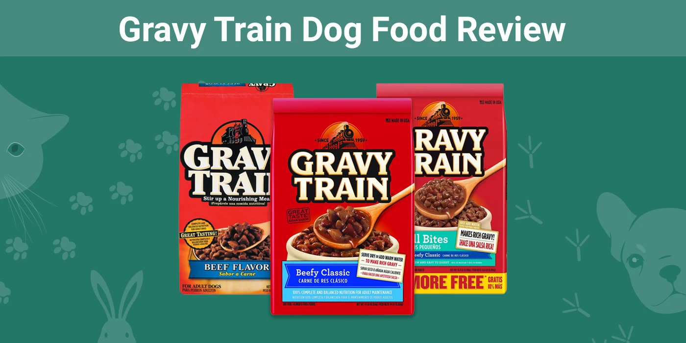Gravy Train Dog Food - Featured Image
