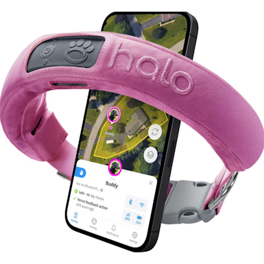 HALO COLLAR Wireless Dog Fence GPS Tracker & Activity Monitor Dog Tracker