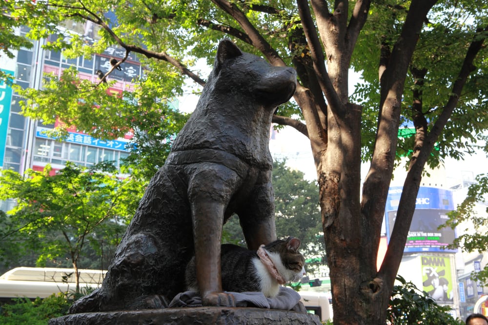 Hachiko Statue