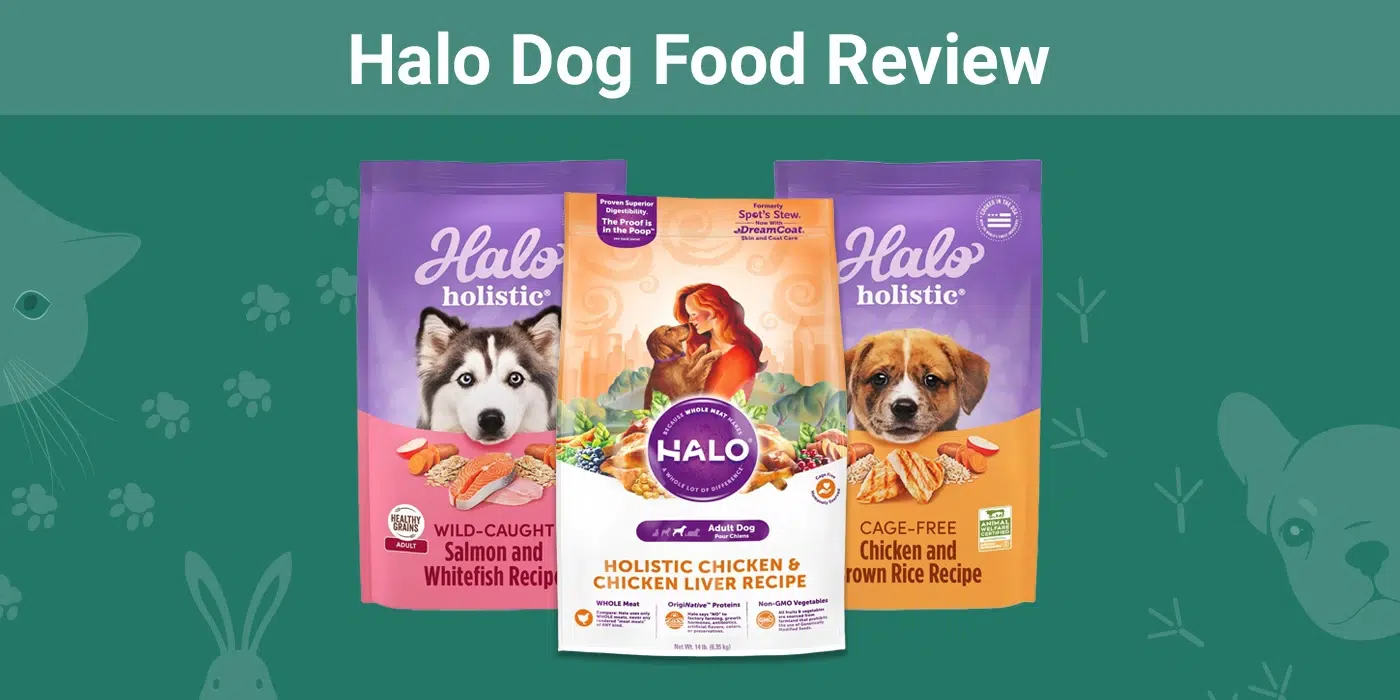 How to Choose a Pet Food Brand A Comprehensive Guide