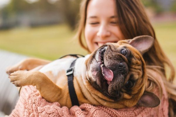 Happy Dog