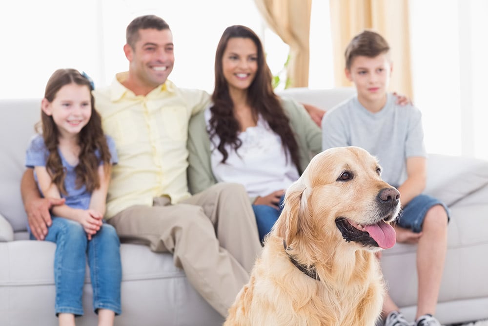 Happy family and dog watching TV together in living room