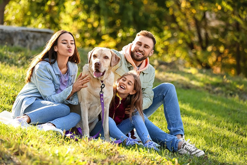 Happy family with Labrador dog sitting on plaid in park