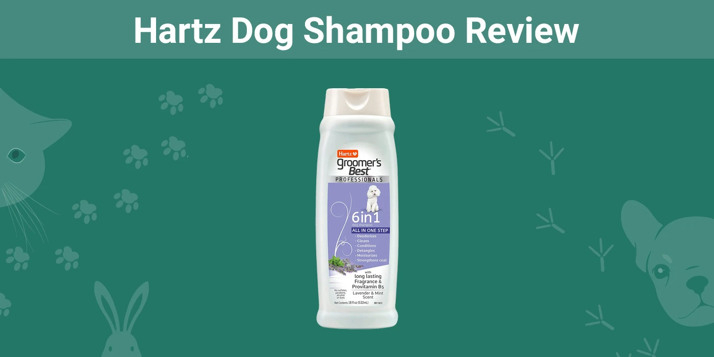 Hartz Dog Shampoo - Featured Image
