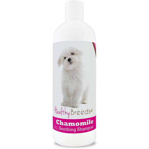 Healthy Breeds Maltese Chamomile Soothing Dog Shampoo