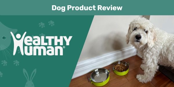 Healthy-Human-Travel-Pet-Bento-Bowl-Review-SAPR-FT
