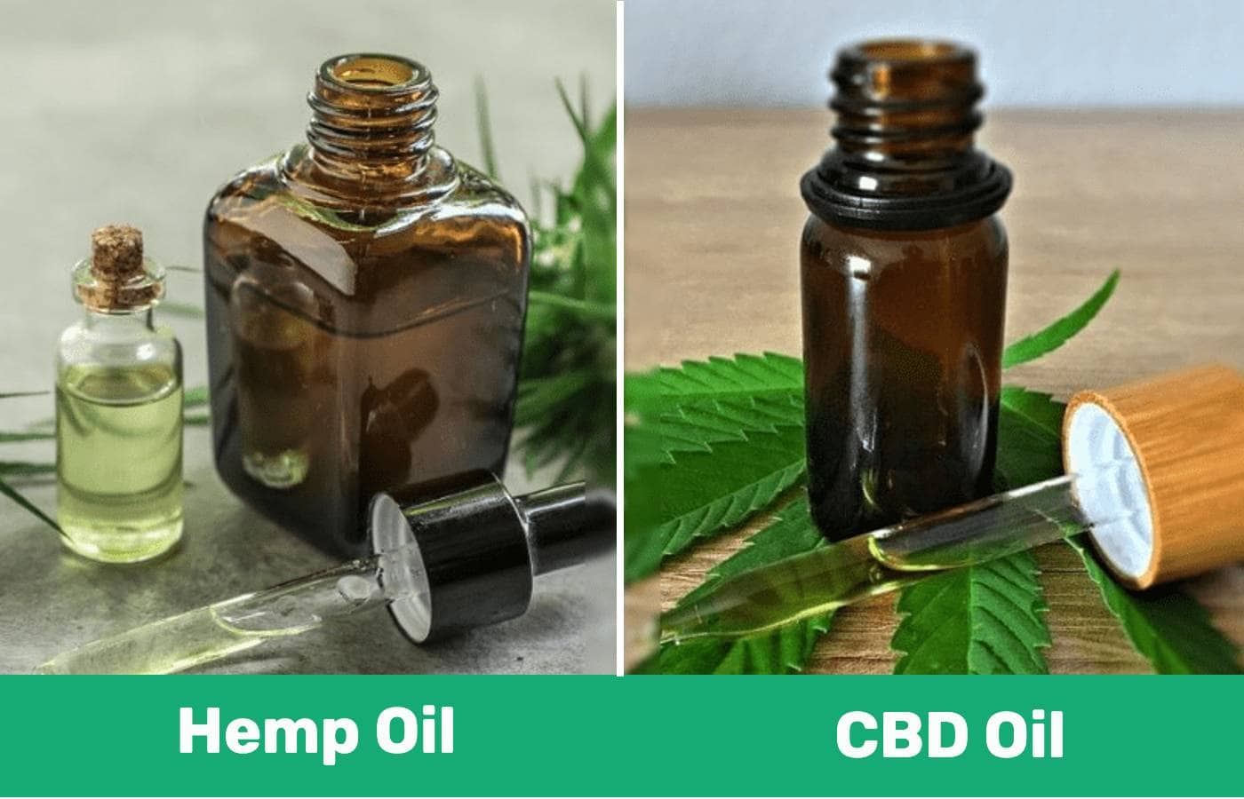Hemp Oil vs CBD Oil