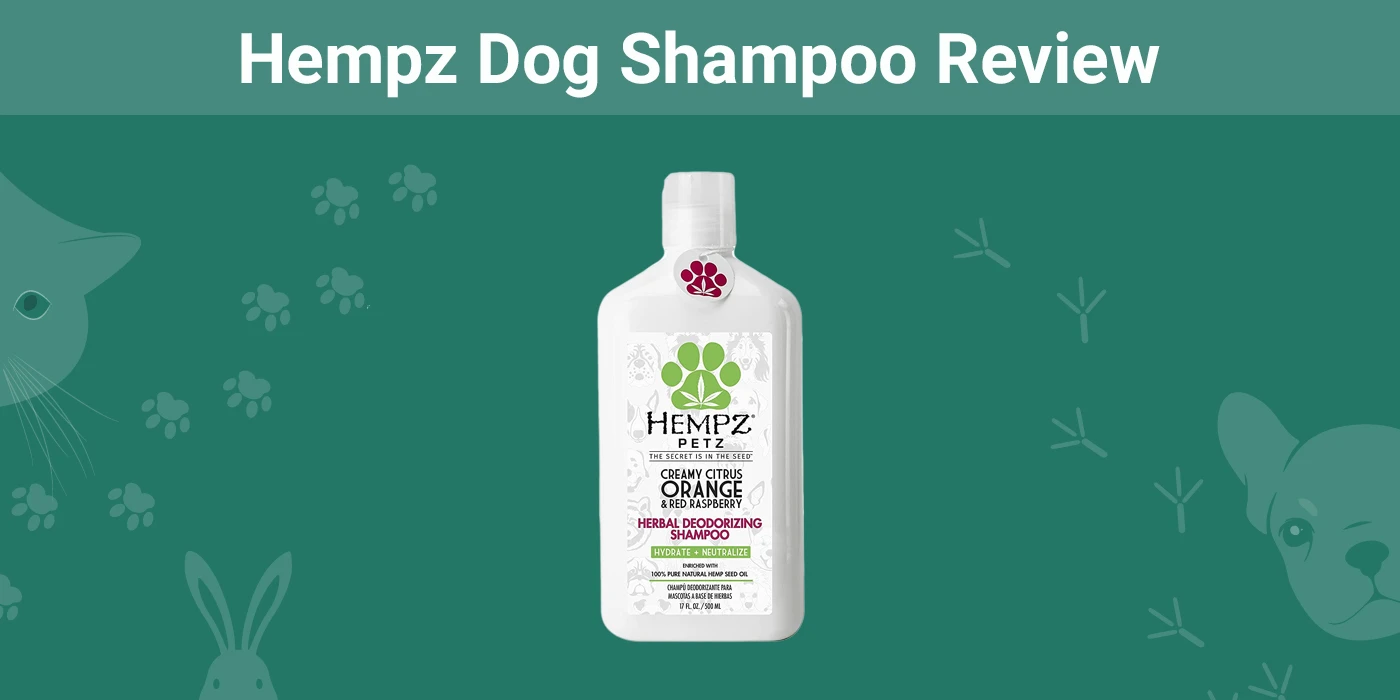 Hempz Dog Shampoo - Featured Image