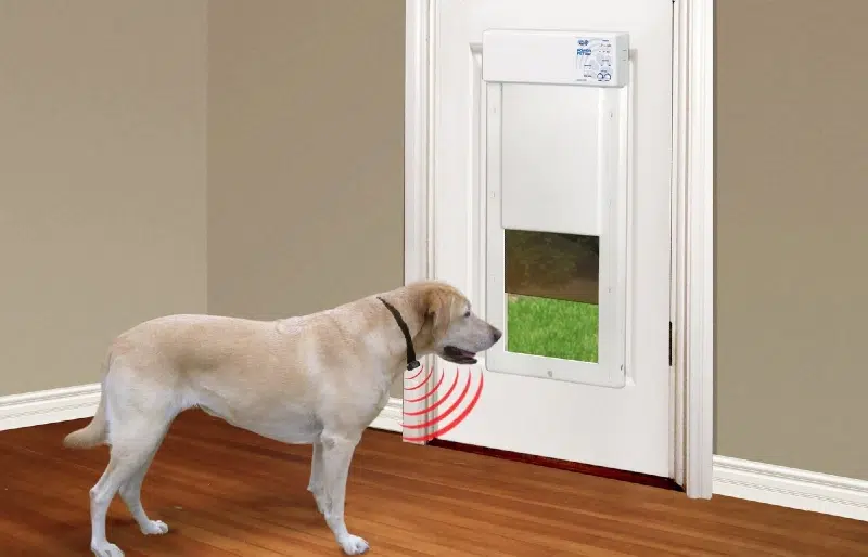 High Tech Pet Products PX-2 Power Pet Fully Automatic Pet Door