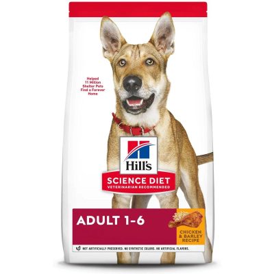 Science Diet Adult Dry Dog Food