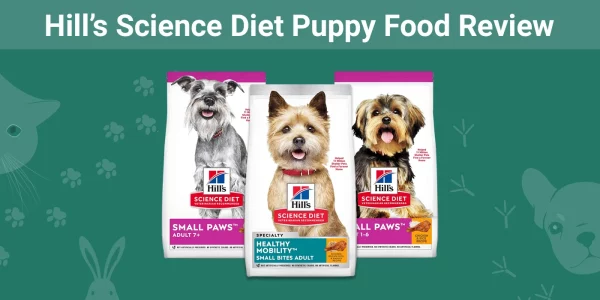Hill’s Science Diet Puppy Food - Featured Image