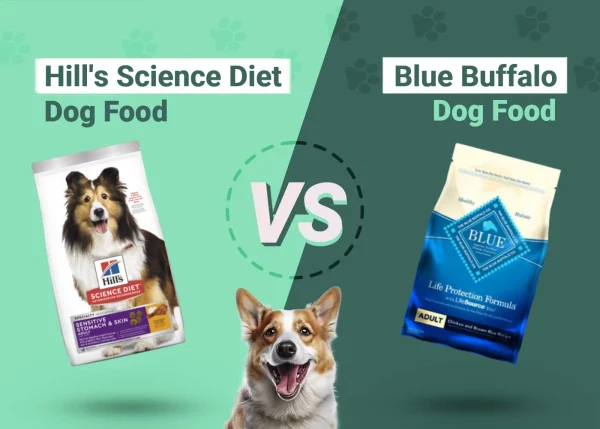 Hill's Science Diet vs Blue Buffalo Dog Food - Featured Image