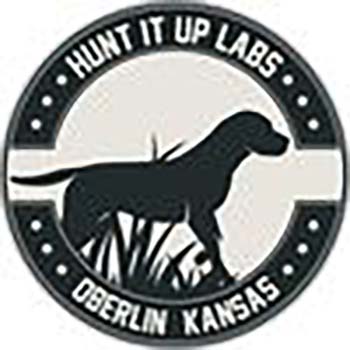 Hunt It Up Labs