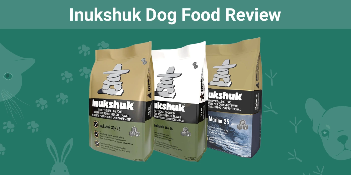 Inukshuk Dog Food - Featured Image