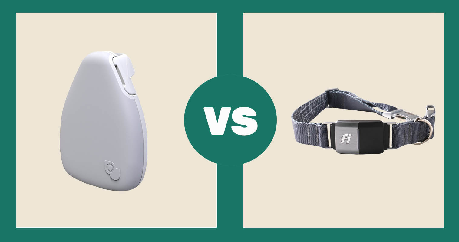 Jiobit Gen 2 GPS Dog & Cat Location Monitor vs Fi Dog Collar