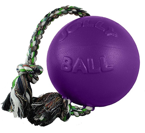 Jolly Pets Romp-n-Roll Dog Toy