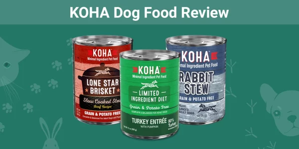 KOHA Dog Food - Featured Image