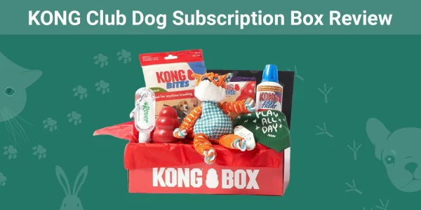 KONG Club Dog Subscription Box - Featured Image