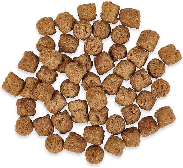 Ketona Salmon Recipe Adult Dry Kibble