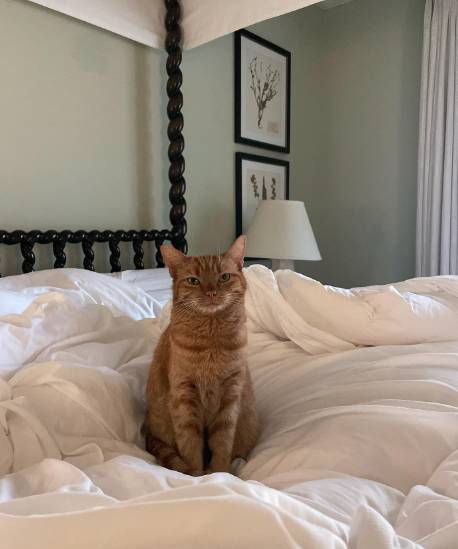 Kimpton Canary Hotel