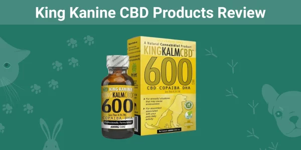 King Kanine CBD Products - Featured Image