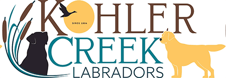 Kohler Creek Labradors
